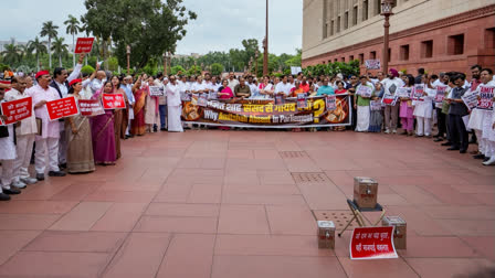 Opposition MPs Stage Protest March in Parliament Complex Over Ayodhya Donation Theft, Police Action on Students